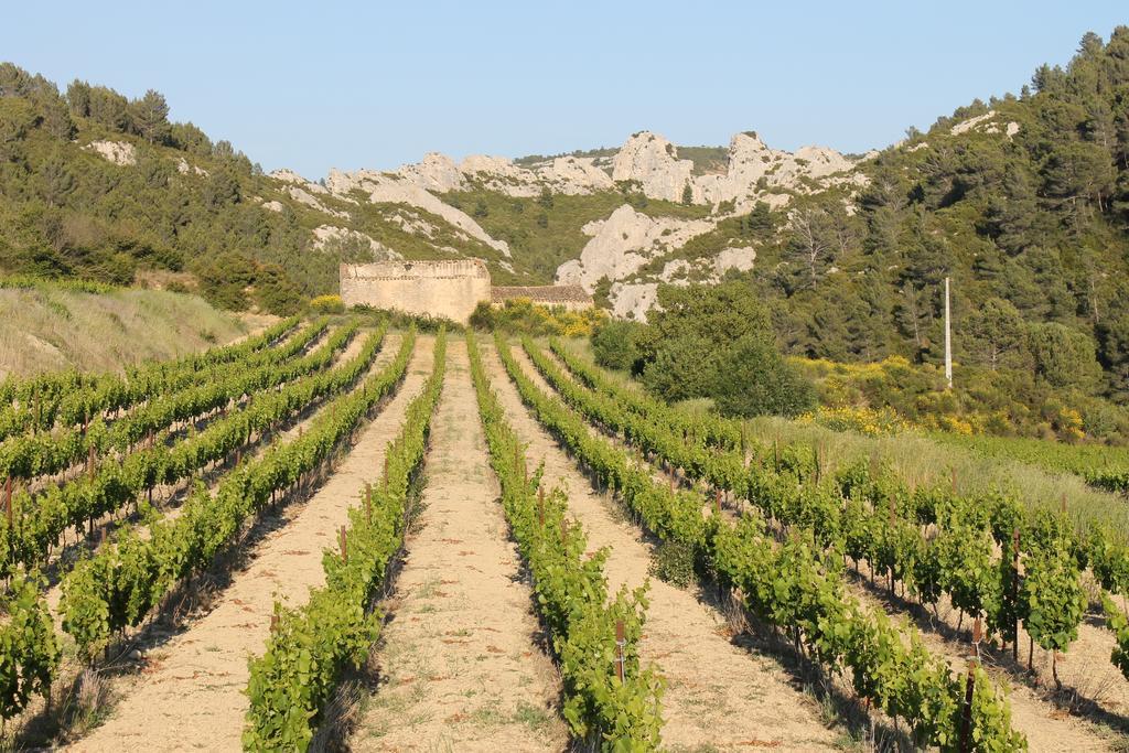 La Montagute Villa Thezan-des-Corbieres Kültér fotó