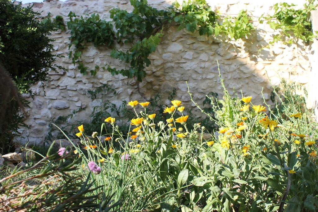 La Montagute Villa Thezan-des-Corbieres Kültér fotó